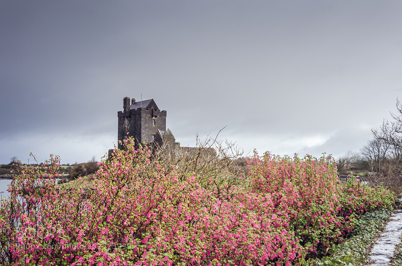 Nikon D5100 sample photo. Dublin-galway photography