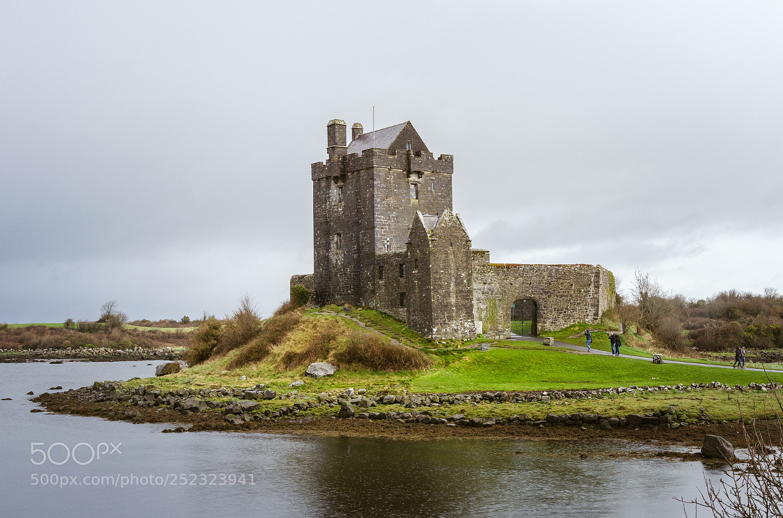 Nikon D5100 sample photo. Dublin-galway photography