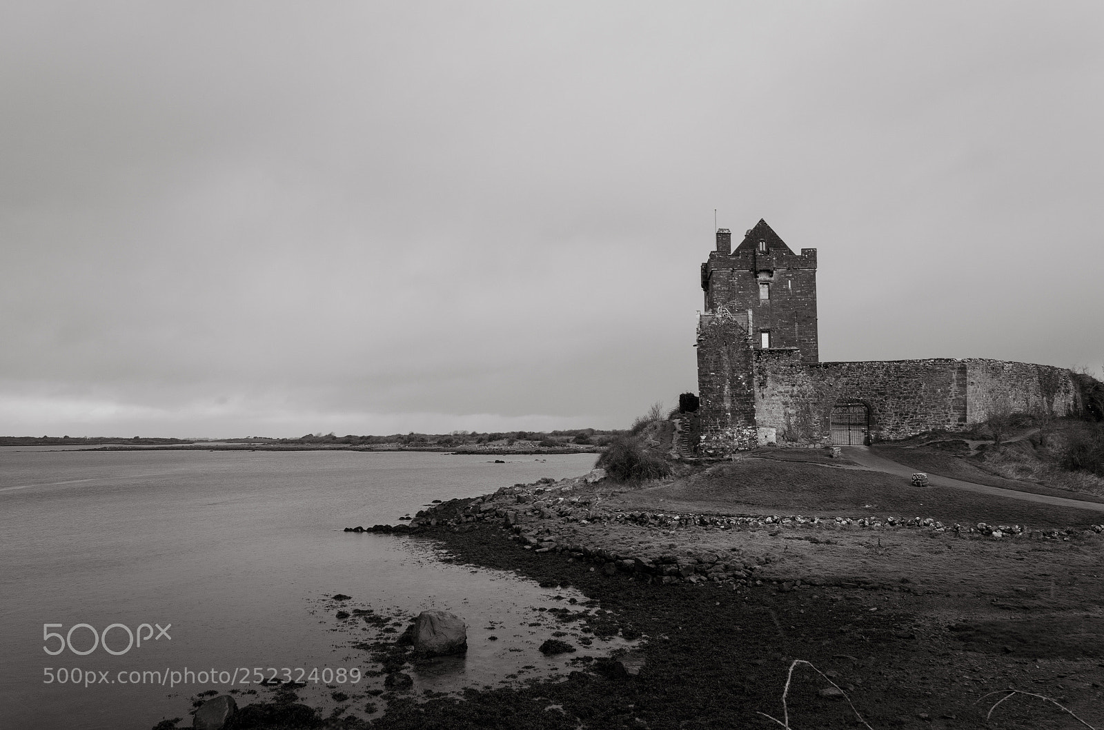 Nikon D5100 sample photo. Dublin-galway photography