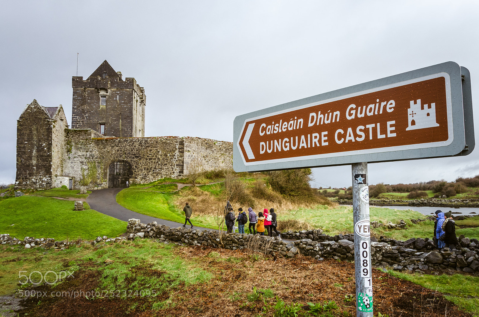 Nikon D5100 sample photo. Dublin-galway photography