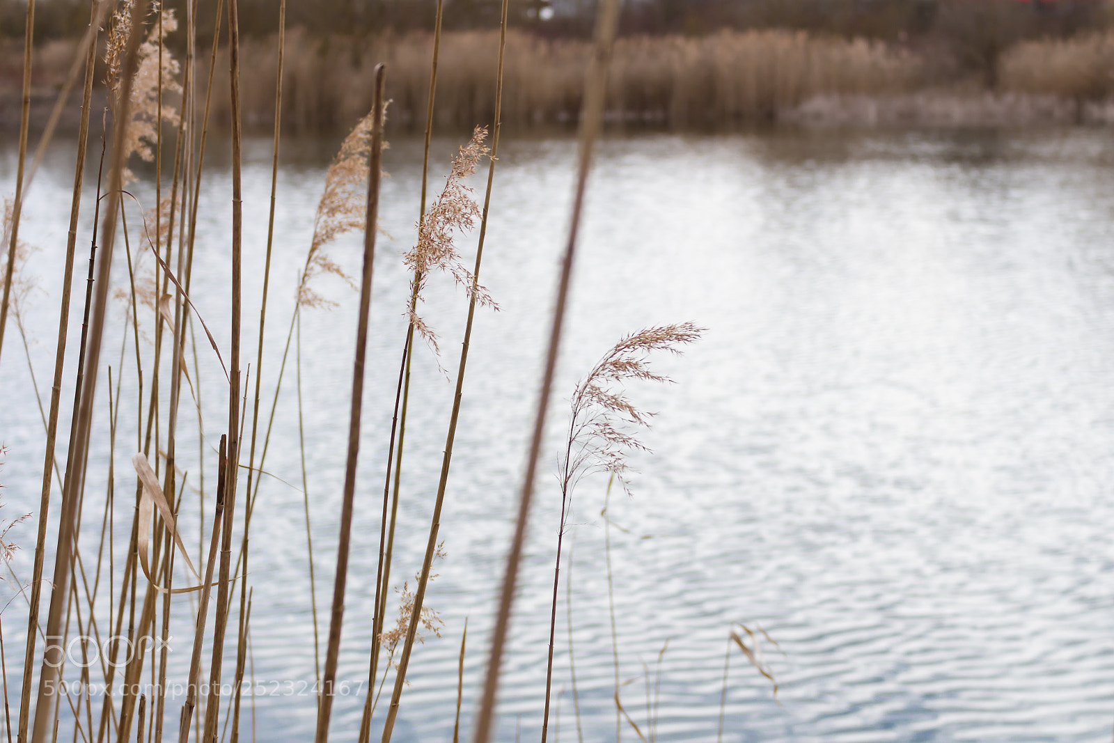Canon EOS 700D (EOS Rebel T5i / EOS Kiss X7i) sample photo. Lake photography