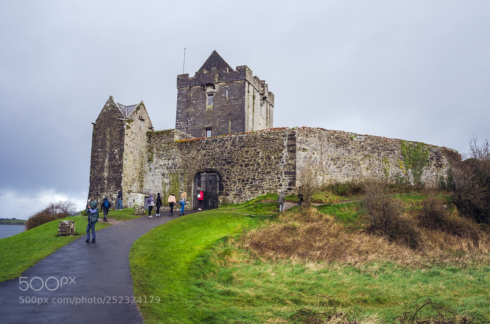 Nikon D5100 sample photo. Dublin-galway photography
