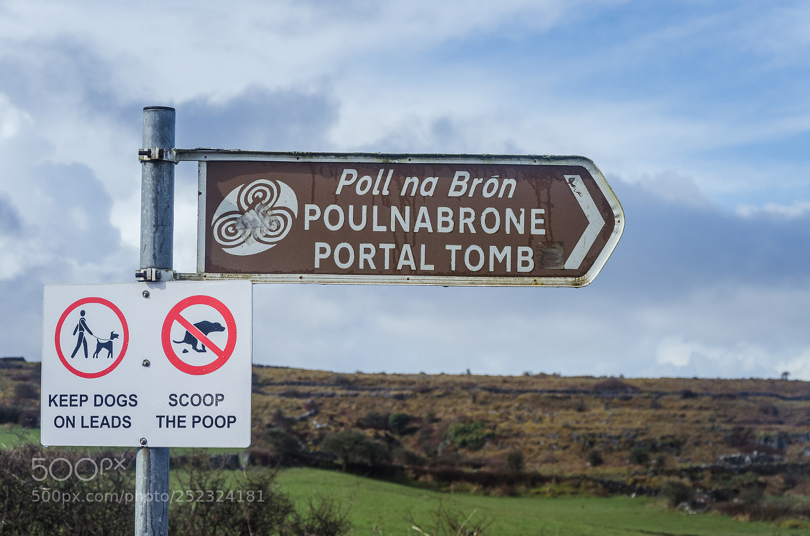 Nikon D5100 sample photo. Dublin-galway photography