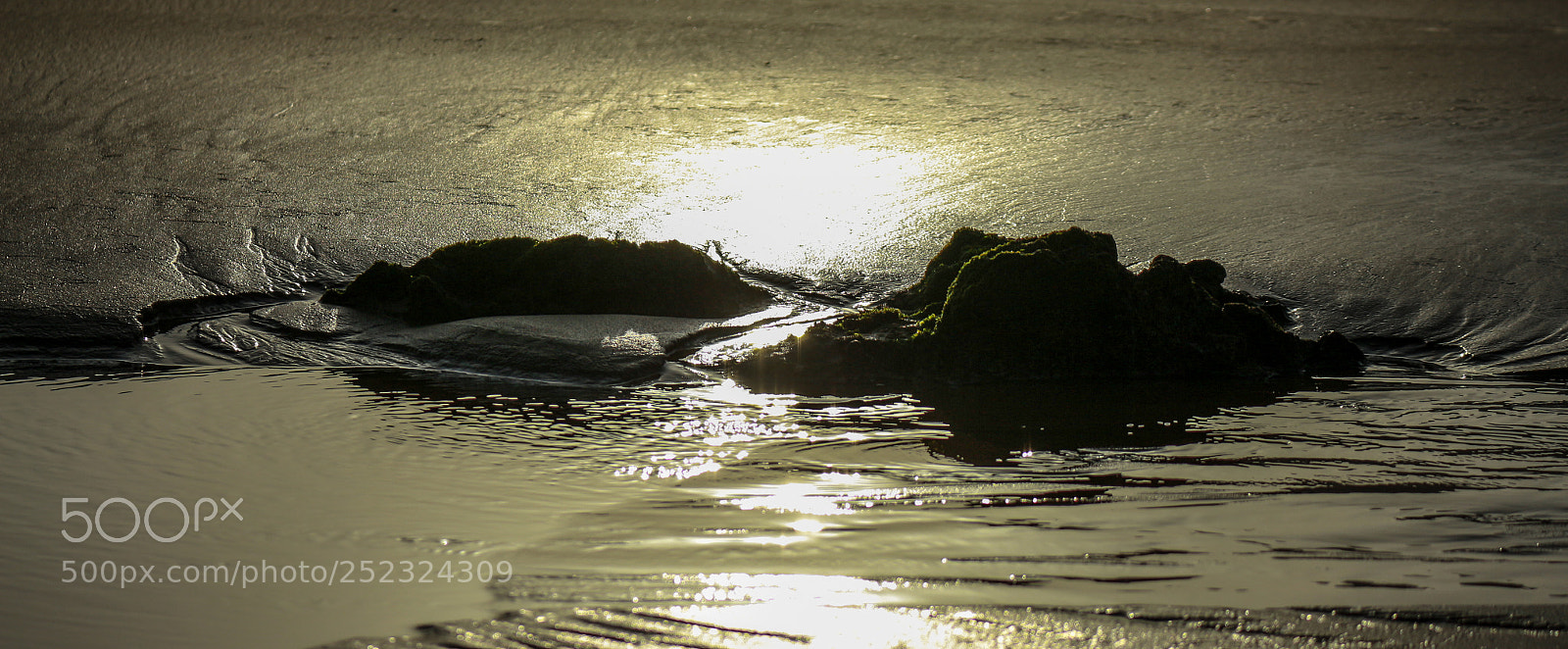 Canon EOS 700D (EOS Rebel T5i / EOS Kiss X7i) sample photo. Small & big photography
