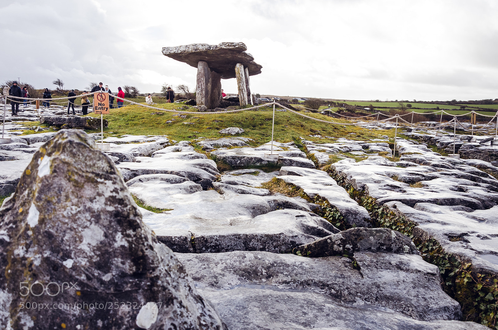 Nikon D5100 sample photo. Dublin-galway photography