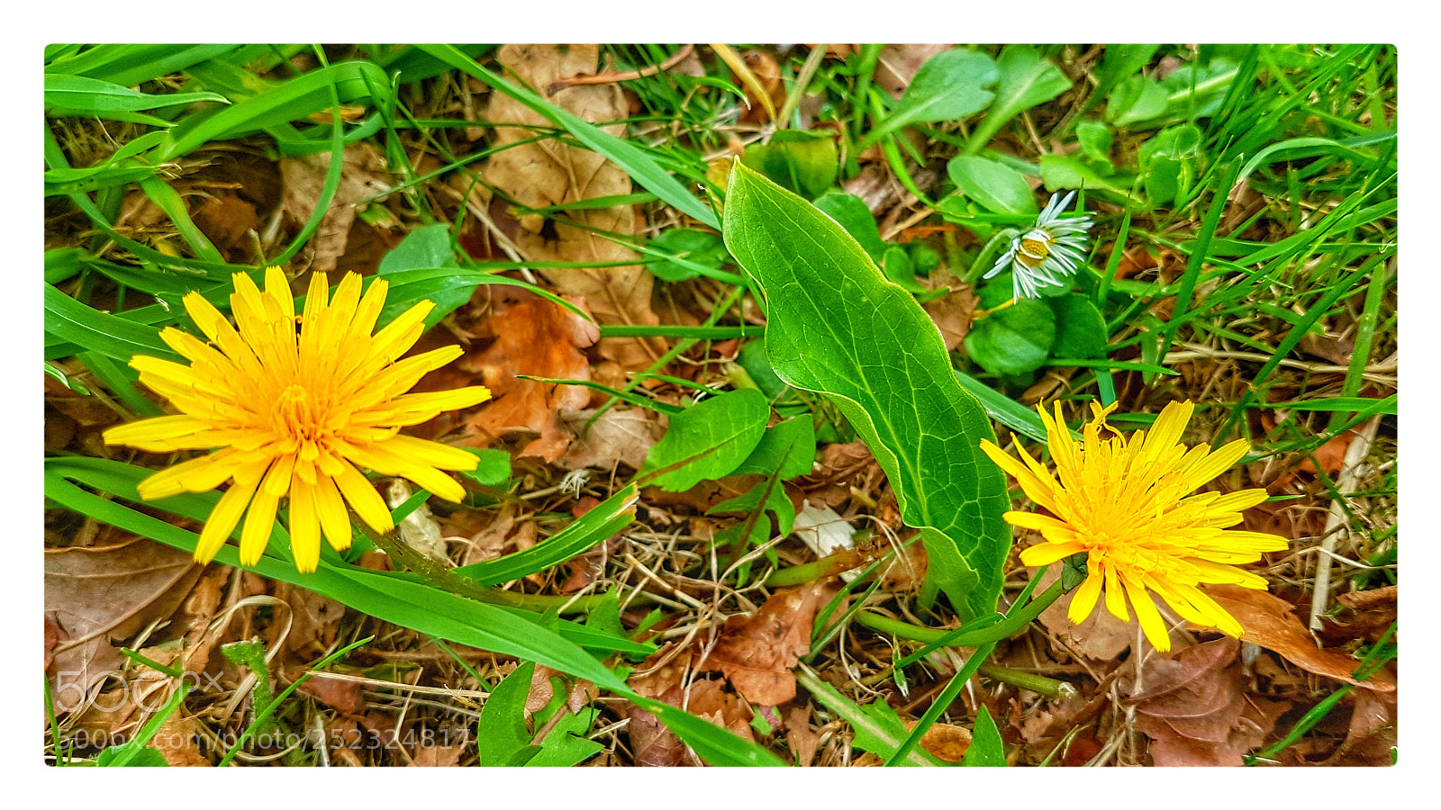 Samsung Galaxy S7 Edge sample photo. Untitled photography