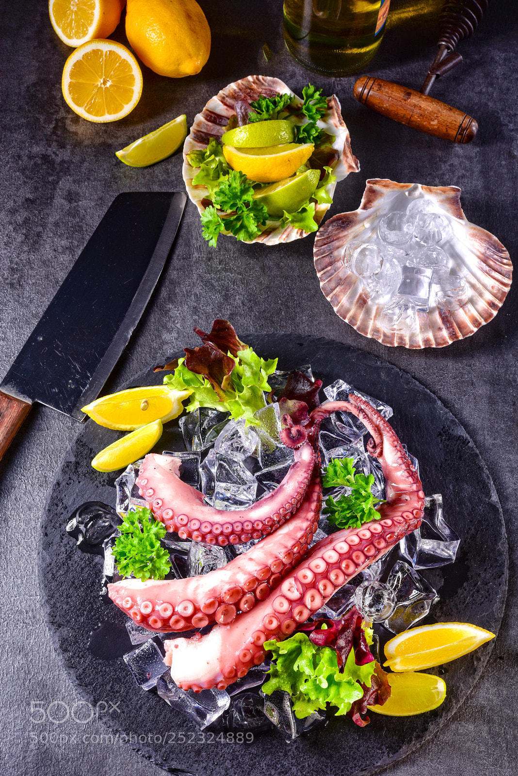 Nikon D810 sample photo. Raw octopus on the photography