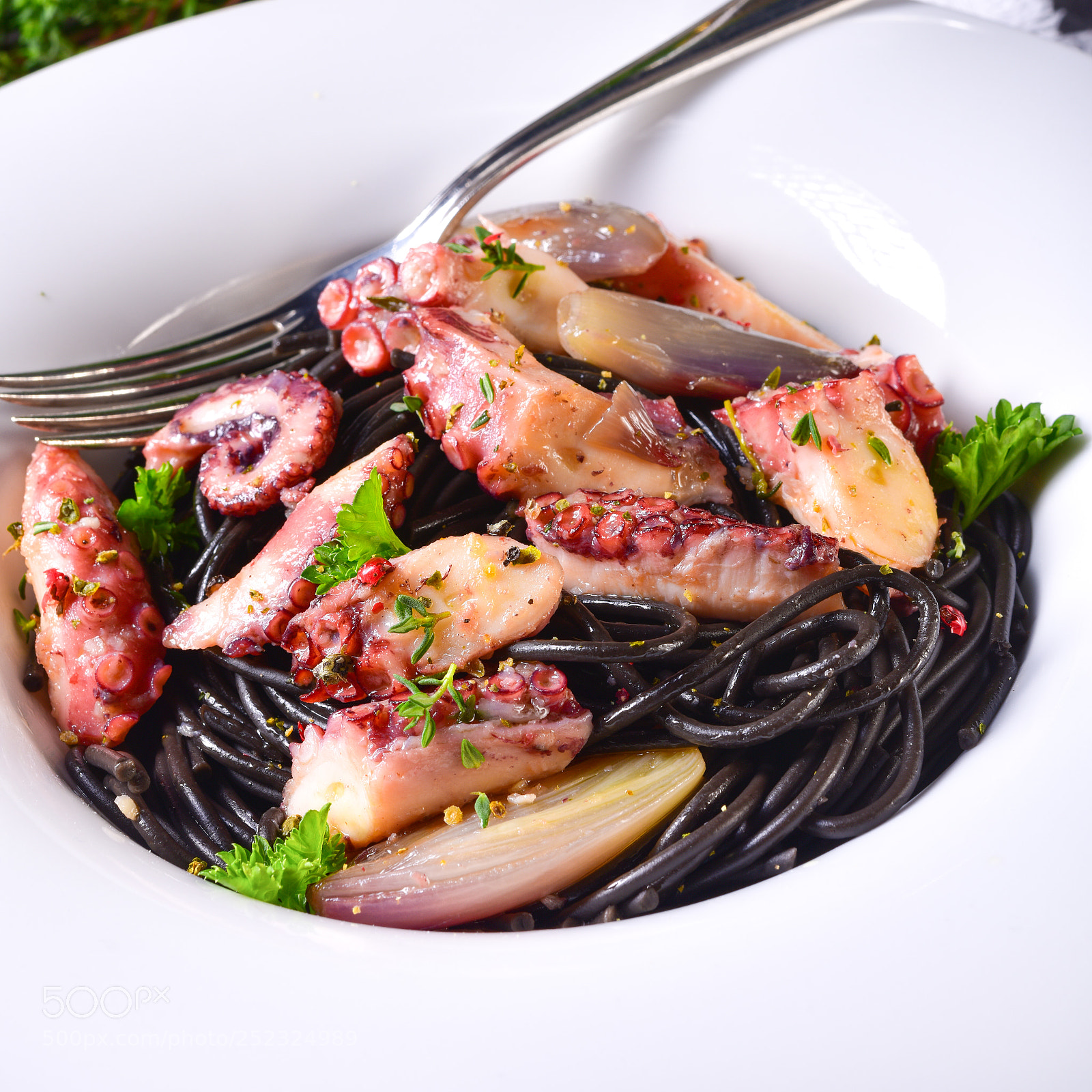 Nikon D810 sample photo. Octopus with black spaghetti photography