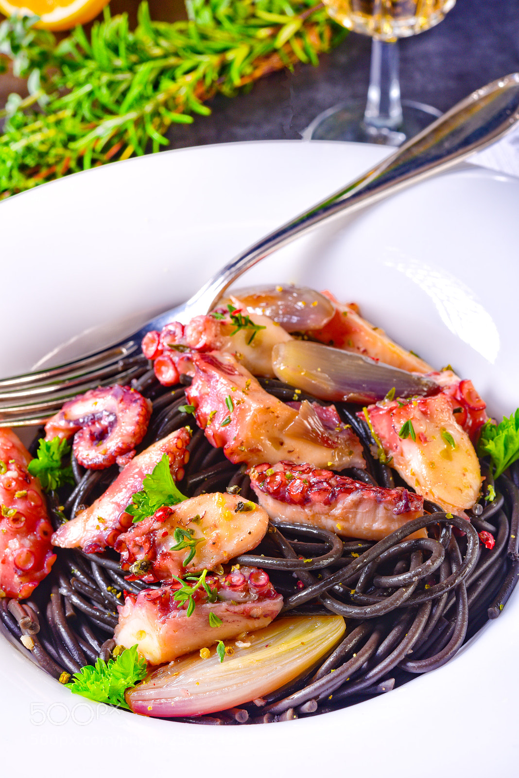 Nikon D810 sample photo. Octopus with black spaghetti photography
