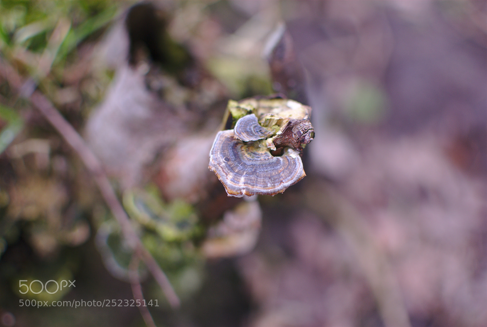 Nikon D200 sample photo. Untitled photography