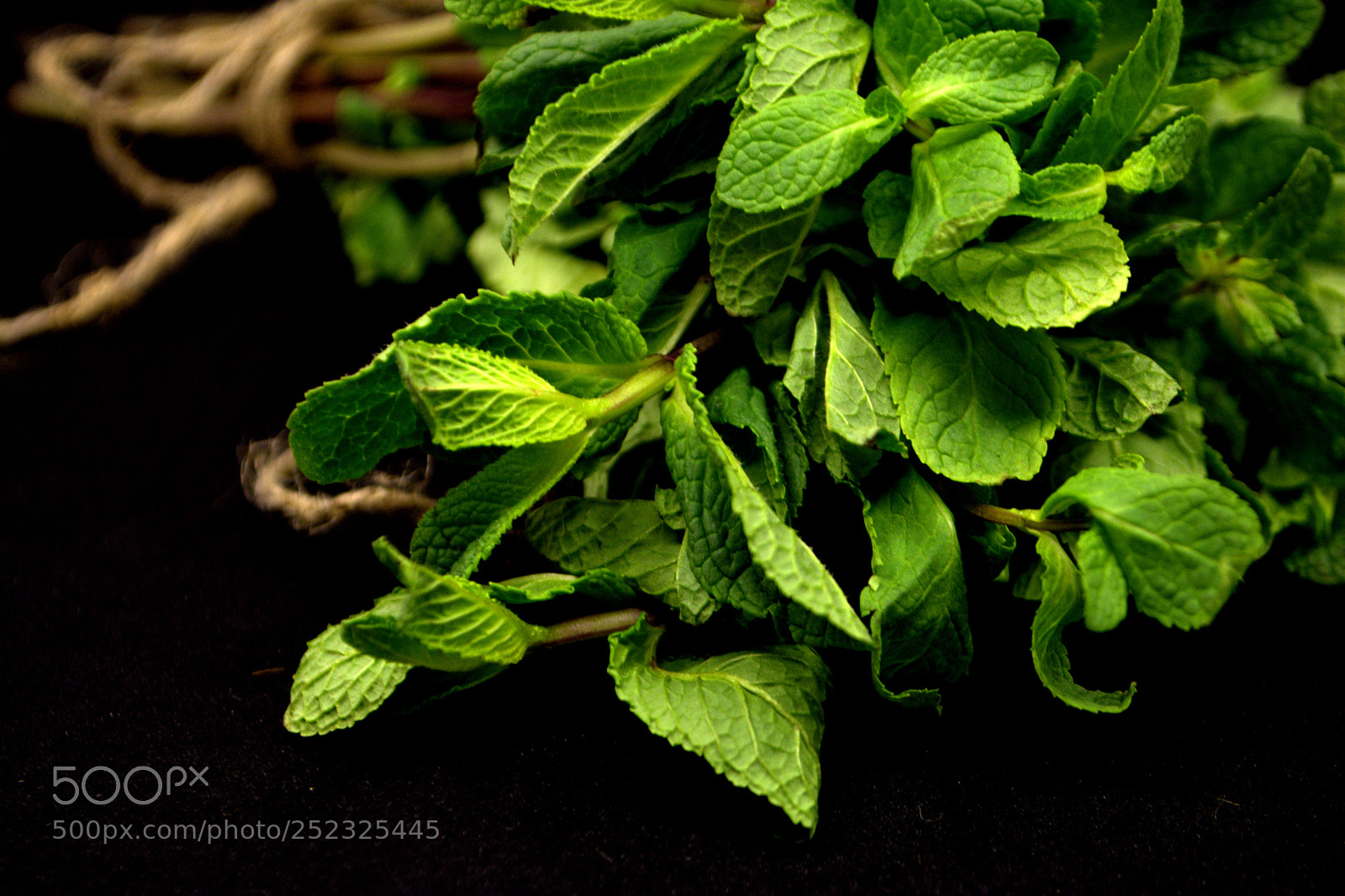 Nikon D7100 sample photo. Mint on the black photography