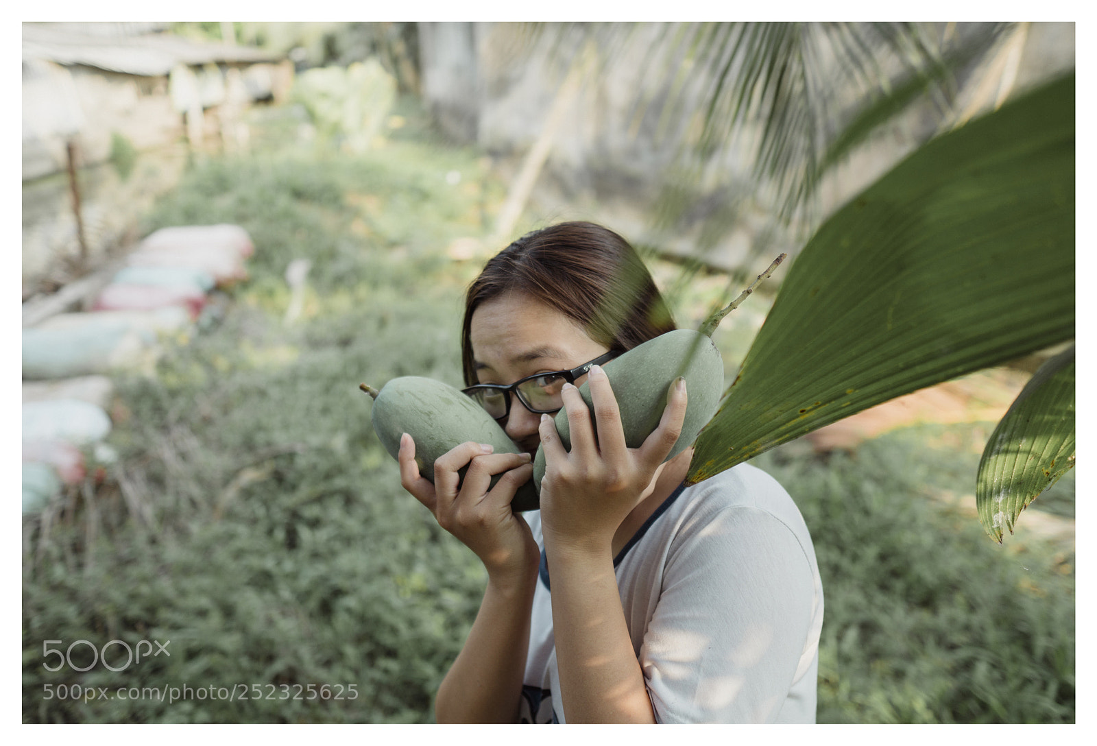 Sony a6500 sample photo. Xoài đây photography