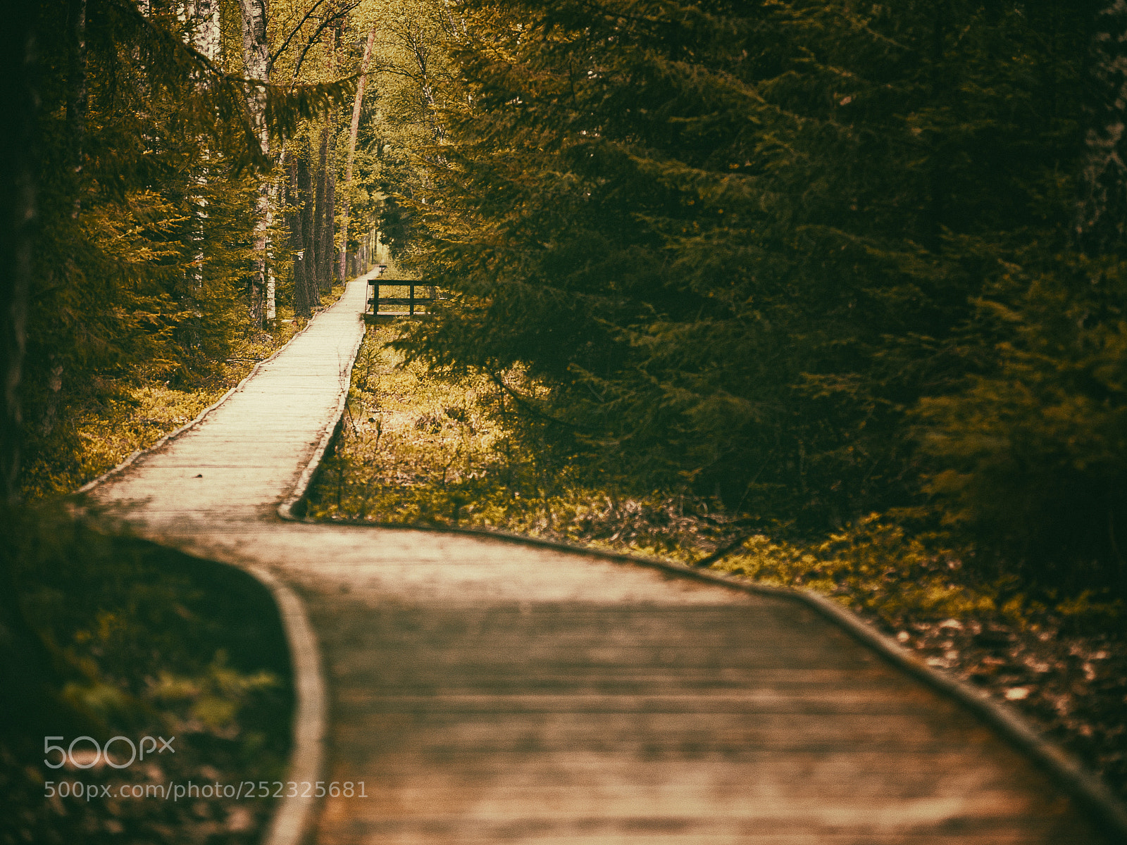 Nikon D610 sample photo. Promenade photography