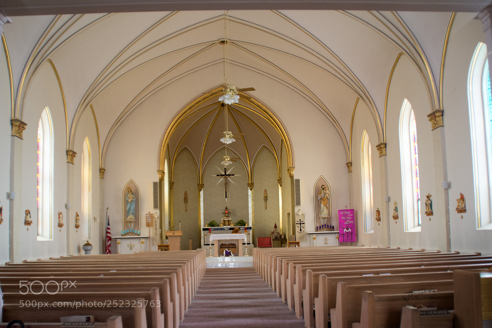 Nikon D7100 sample photo. Schoenchenelliscob photography