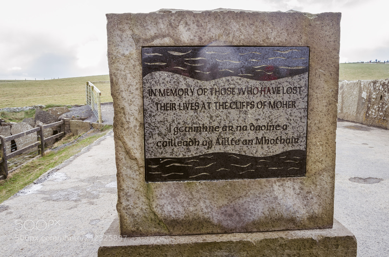 Nikon D5100 sample photo. Dublin-galway photography