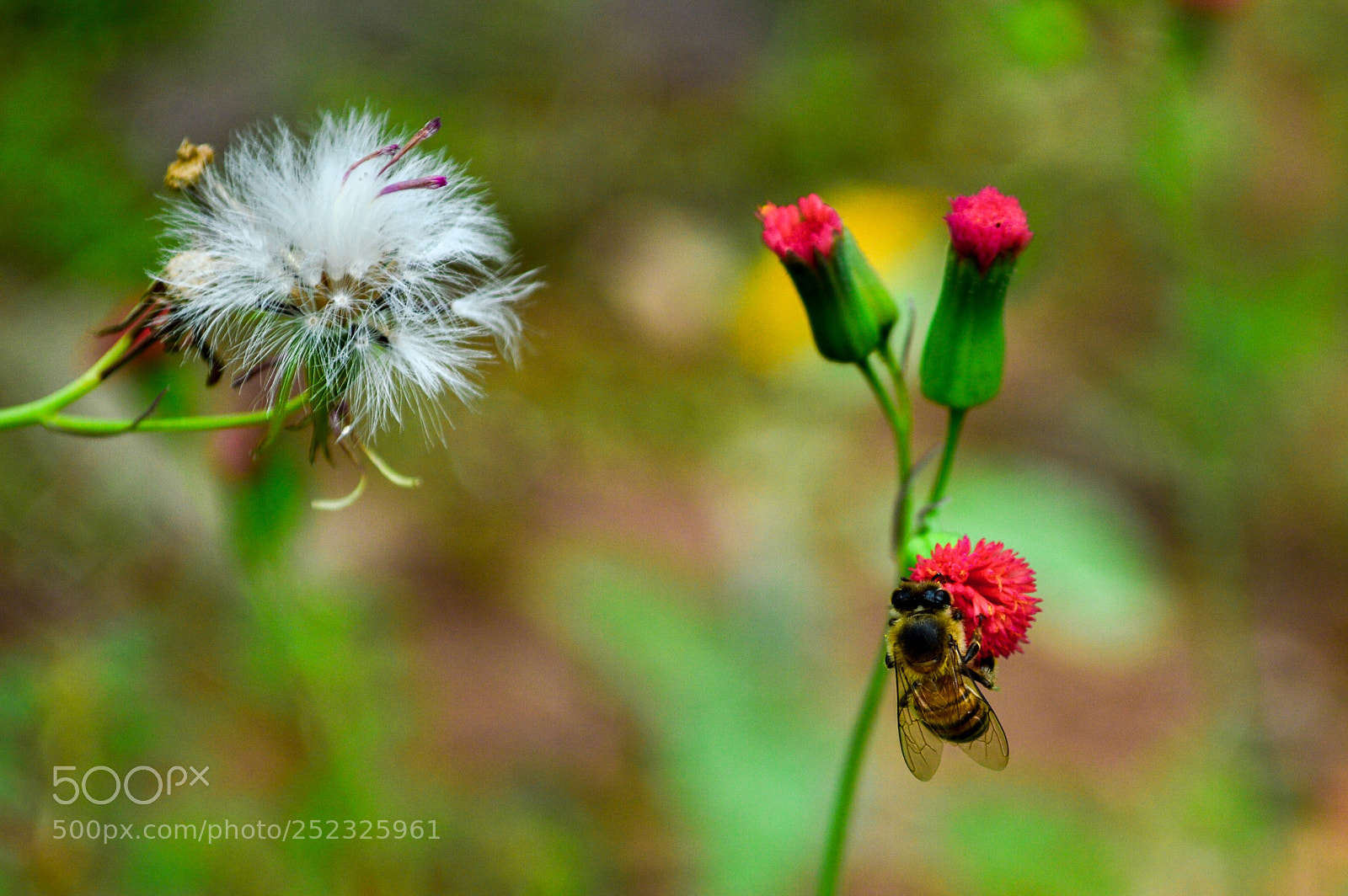 Nikon D3200 sample photo. Untitled photography