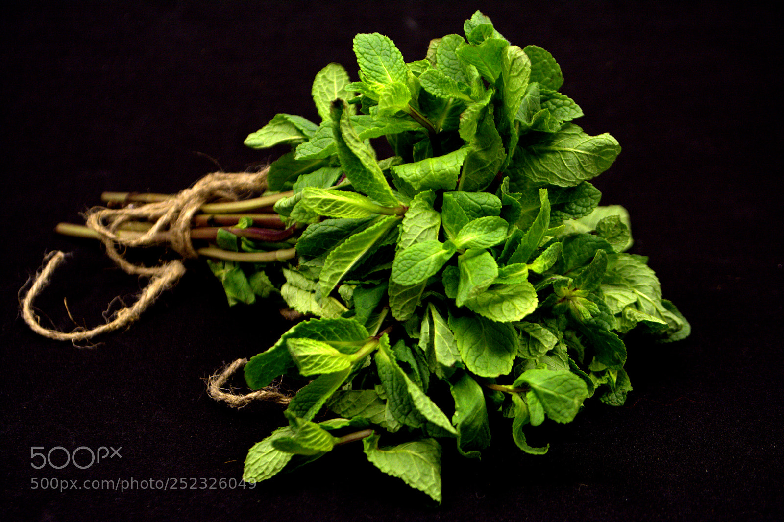 Nikon D7100 sample photo. Mint on the black photography