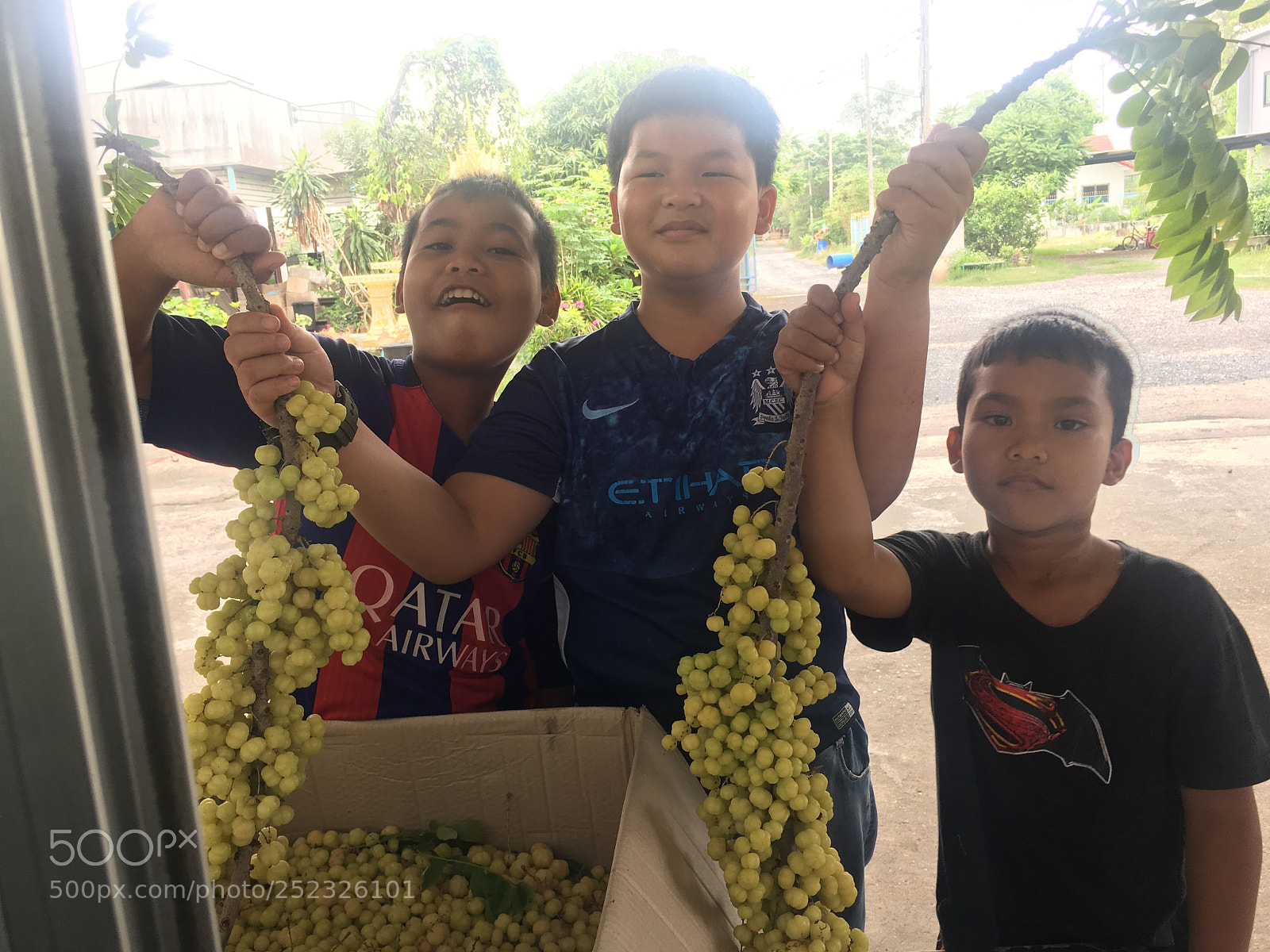 Apple iPhone 6s Plus sample photo. Thai fruit photography