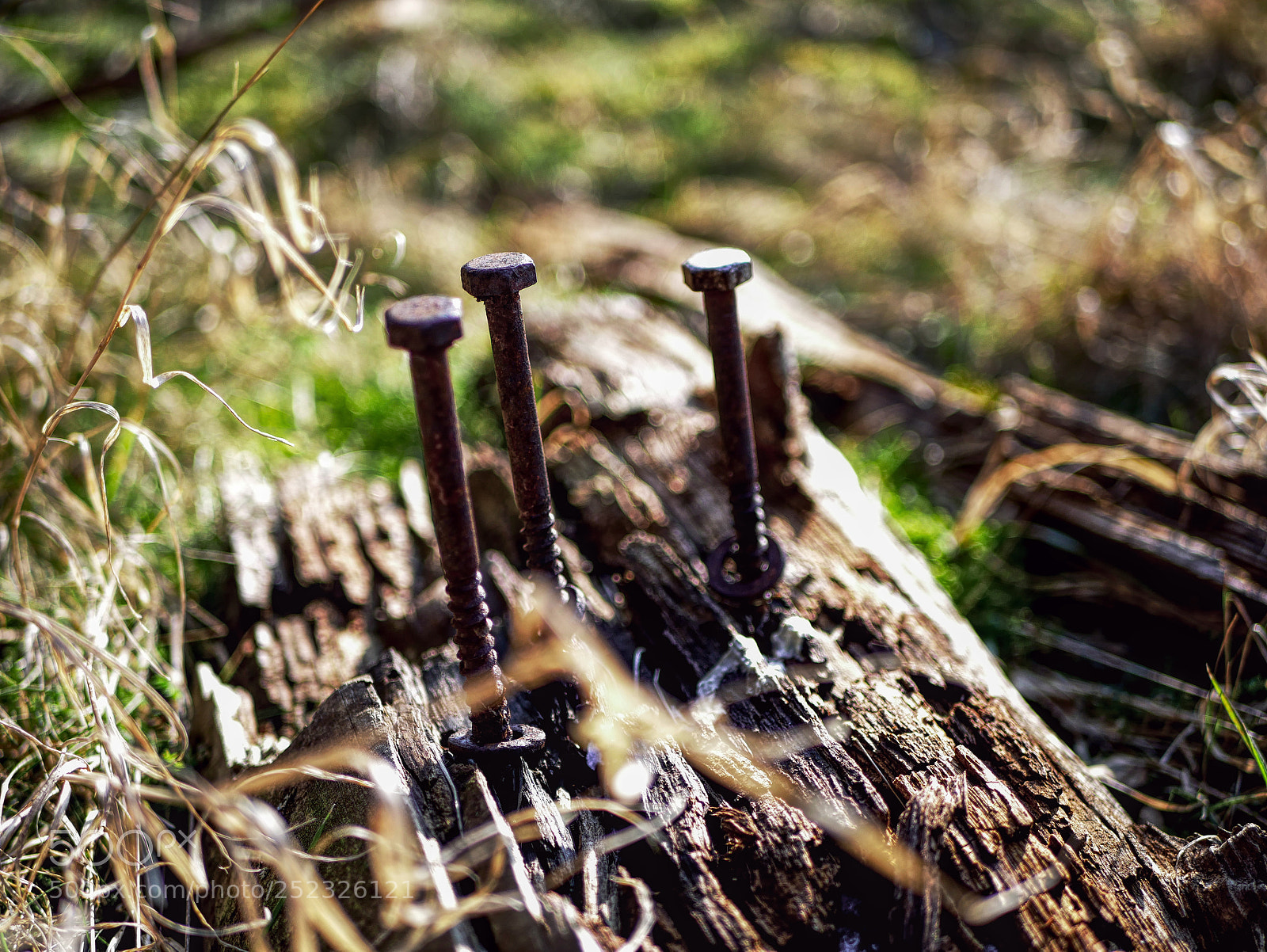 Panasonic Lumix DMC-GX85 (Lumix DMC-GX80 / Lumix DMC-GX7 Mark II) sample photo. Rust and wood photography