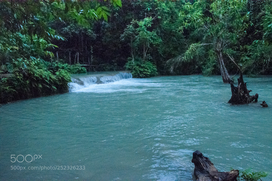 Nikon D90 sample photo. Jungle river photography
