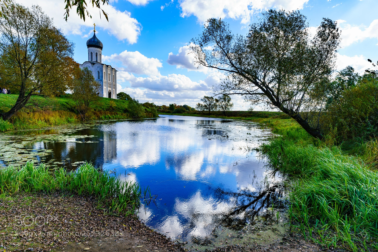 Sony a7R II sample photo. Bogolyubovo 72. photography