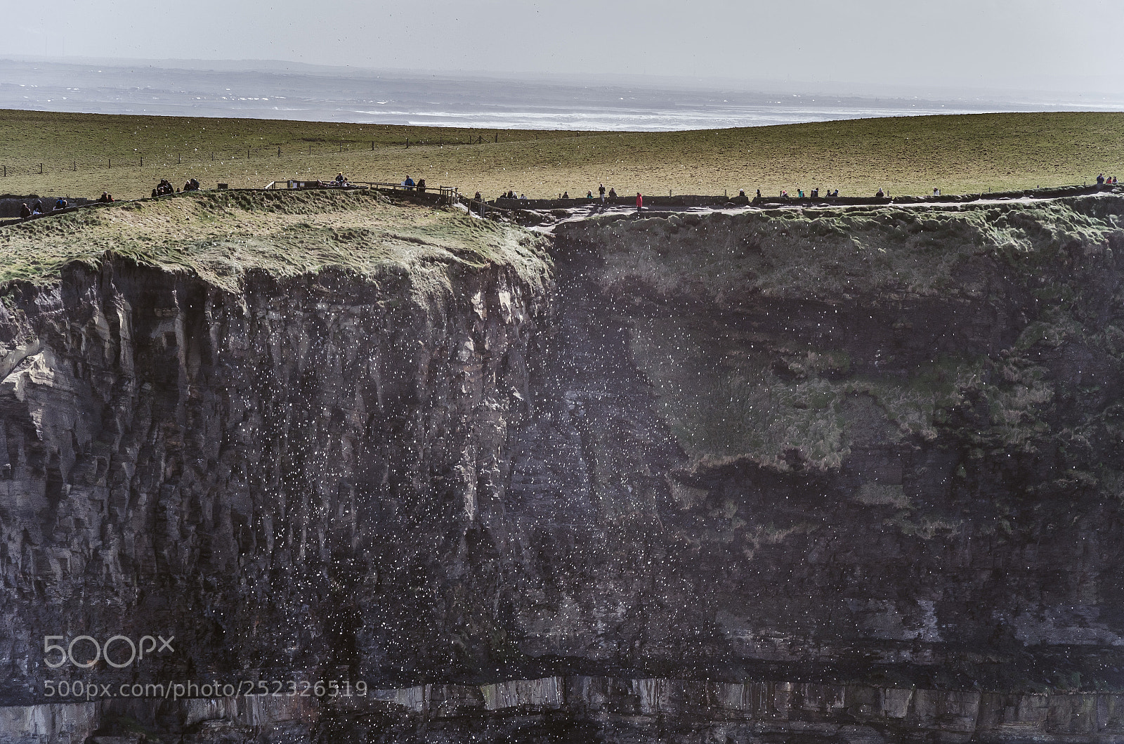 Nikon D5100 sample photo. Dublin-galway photography