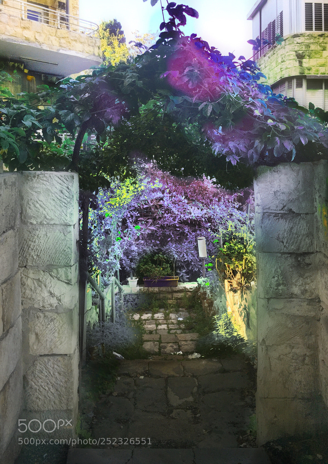 Apple iPhone 6 sample photo. Garden photography