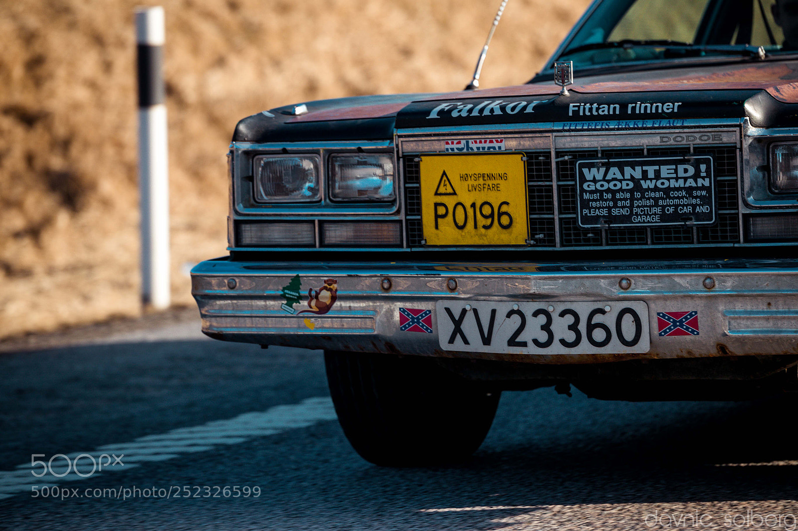 Canon EOS-1D X Mark II sample photo. Ani photography