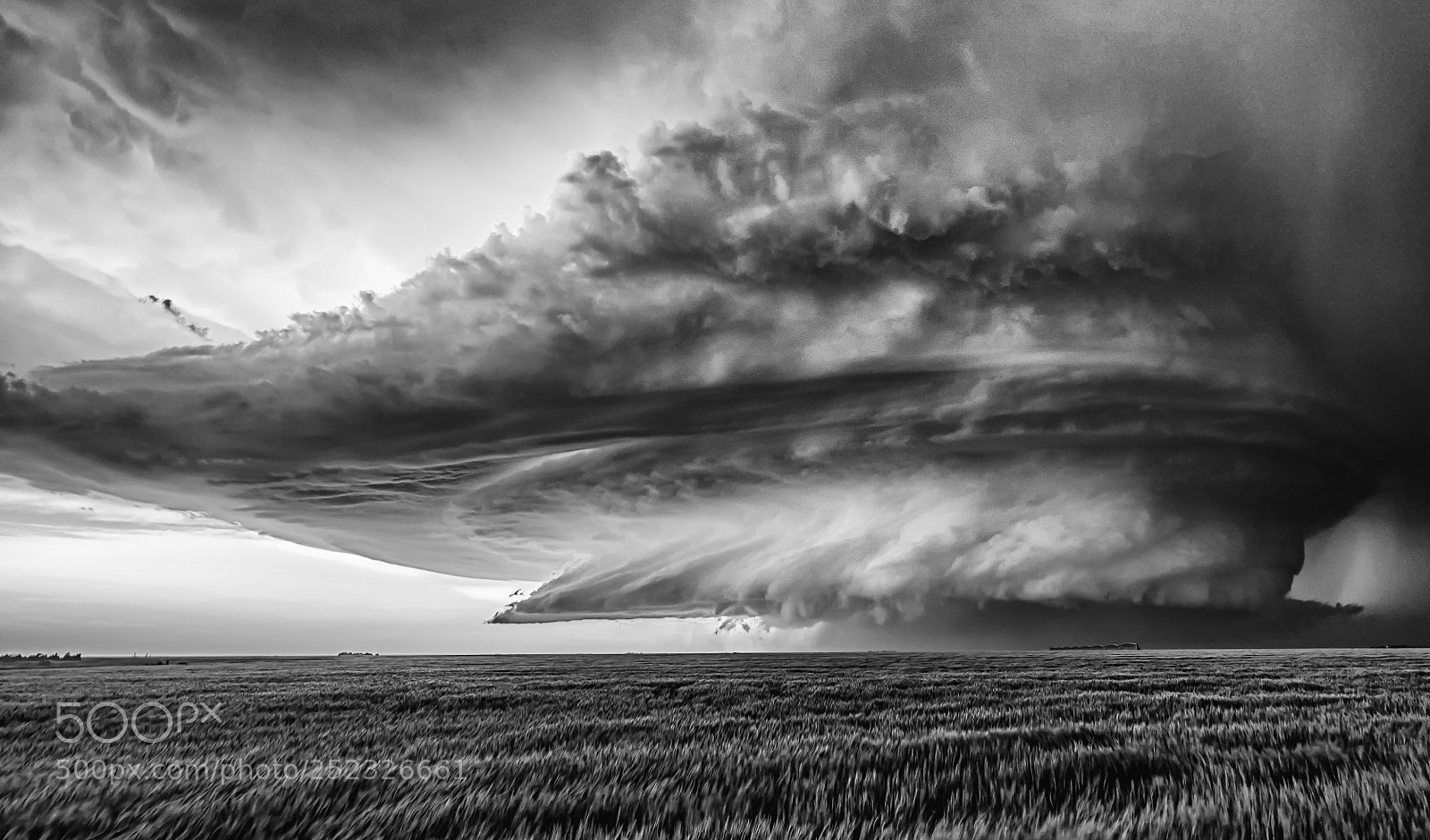 Leica SL (Typ 601) sample photo. Mono supercell photography
