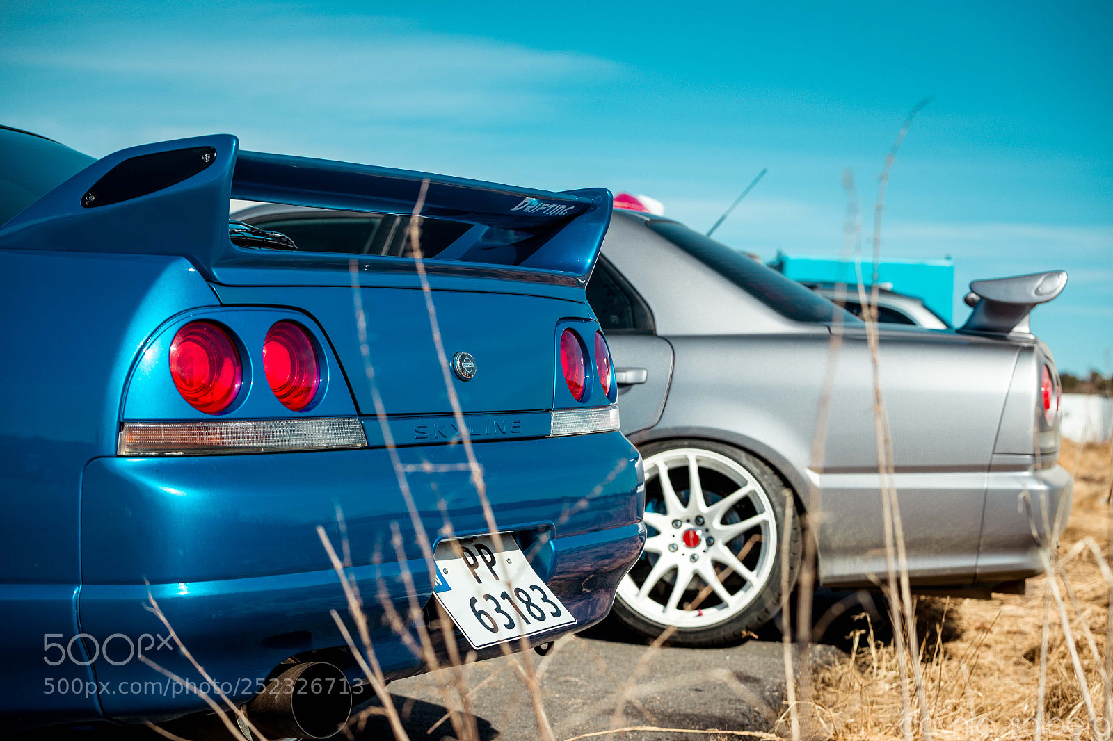 Canon EOS-1D X Mark II sample photo. Ani photography