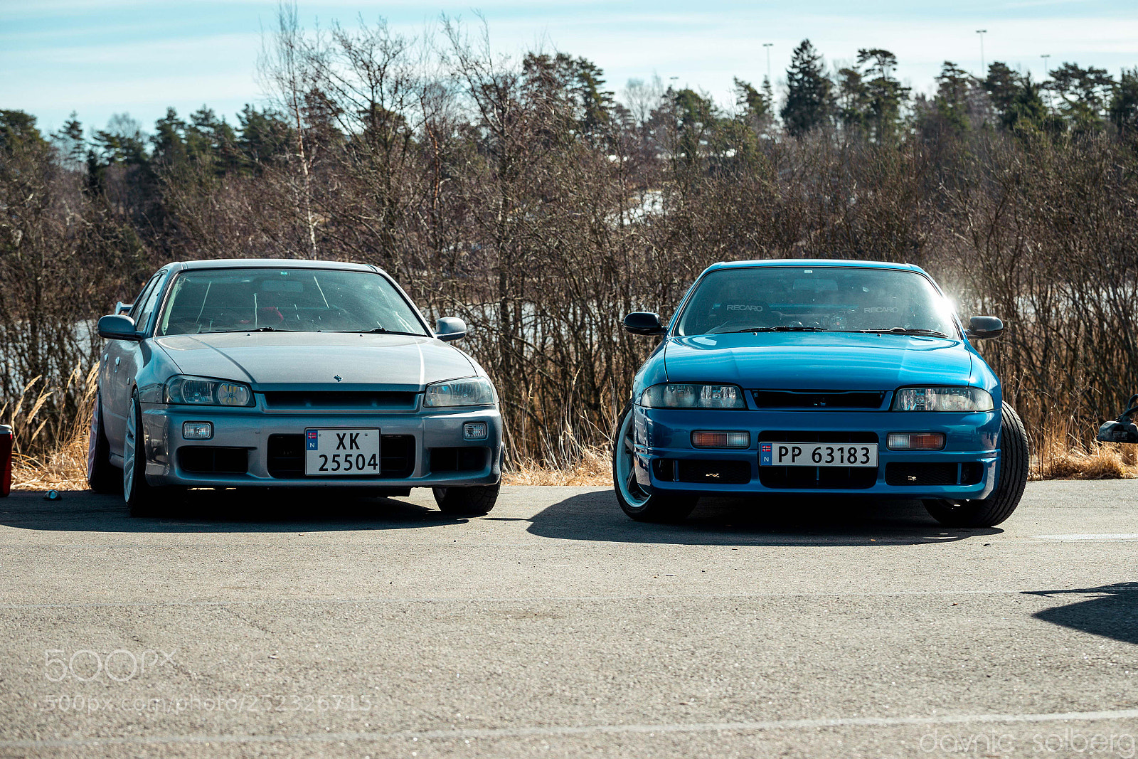 Canon EOS-1D X Mark II sample photo. Ani photography