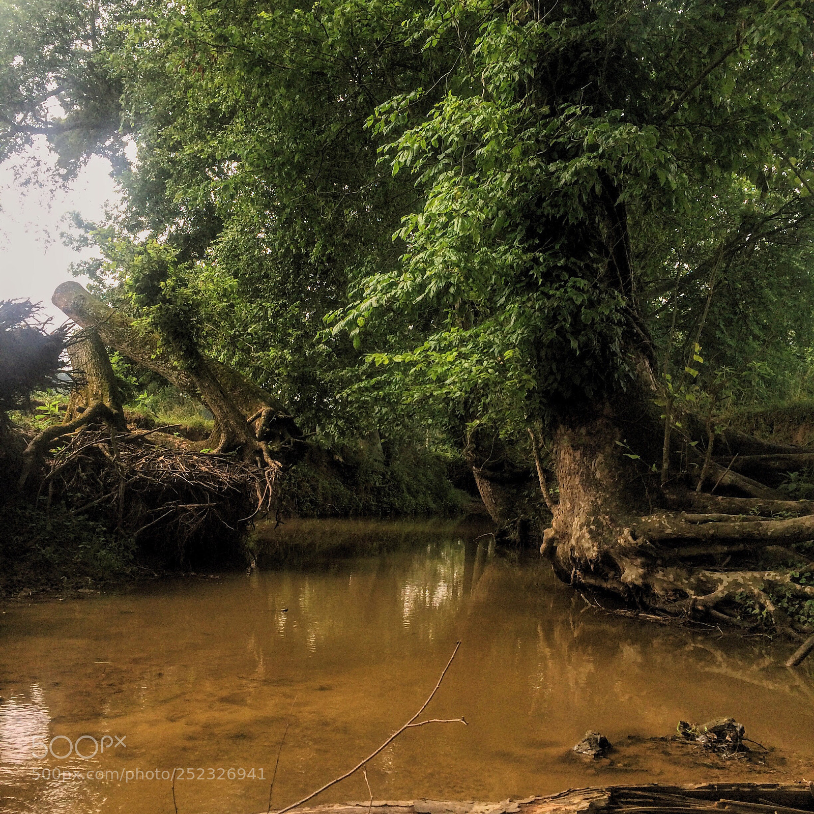 Apple iPhone sample photo. Little river runner photography
