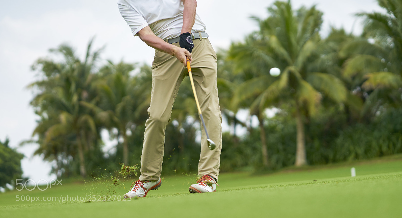 Sony a7 sample photo. Asian man playing golf photography