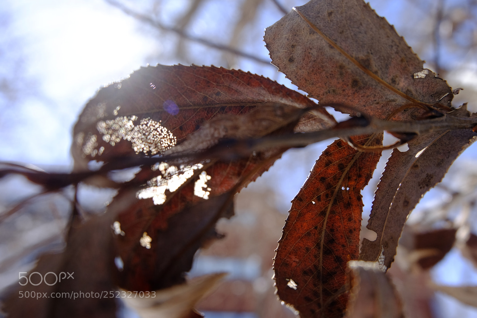 Fujifilm X-T10 sample photo. Dsf photography
