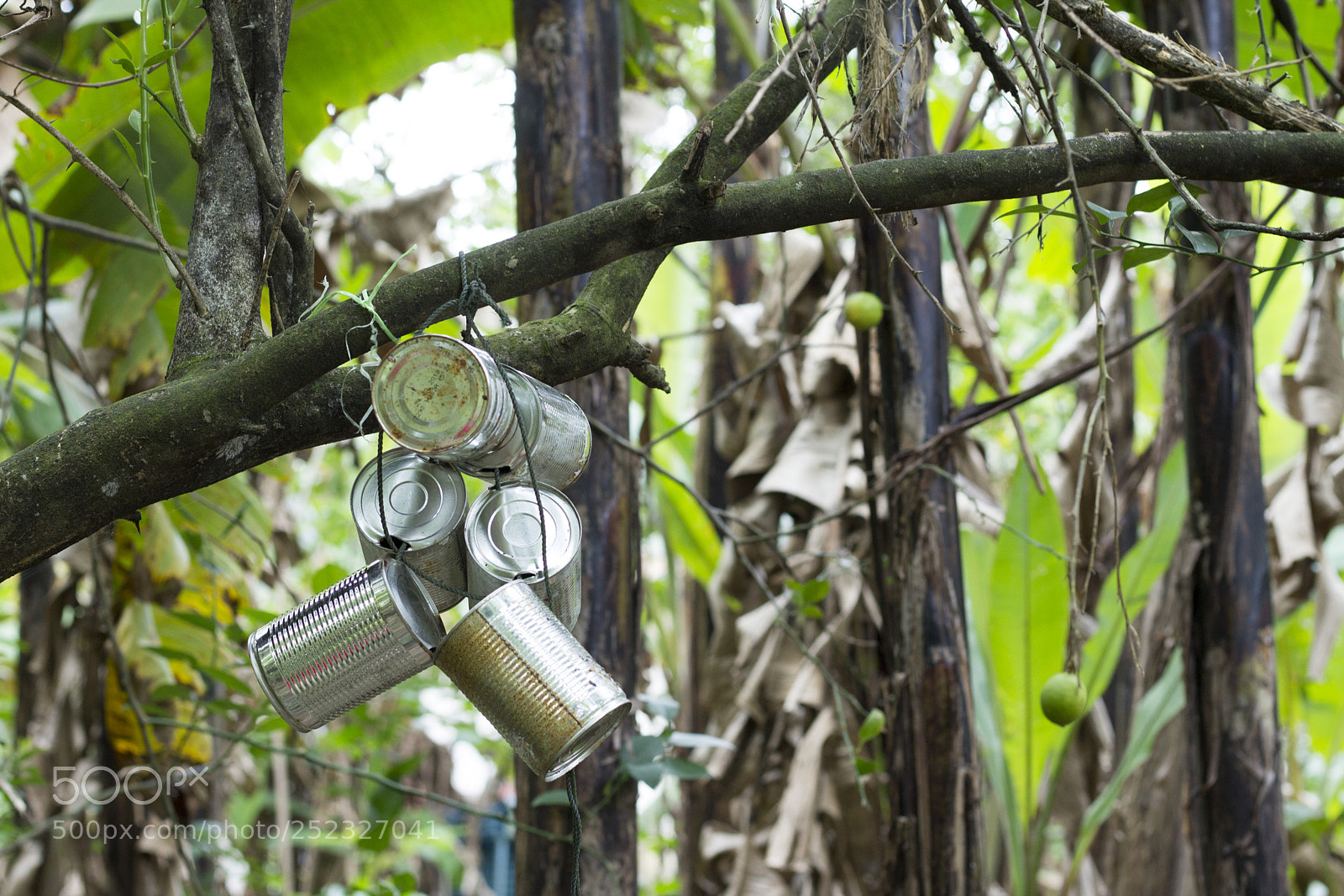 Canon EOS 60D sample photo. Hanging tin photography
