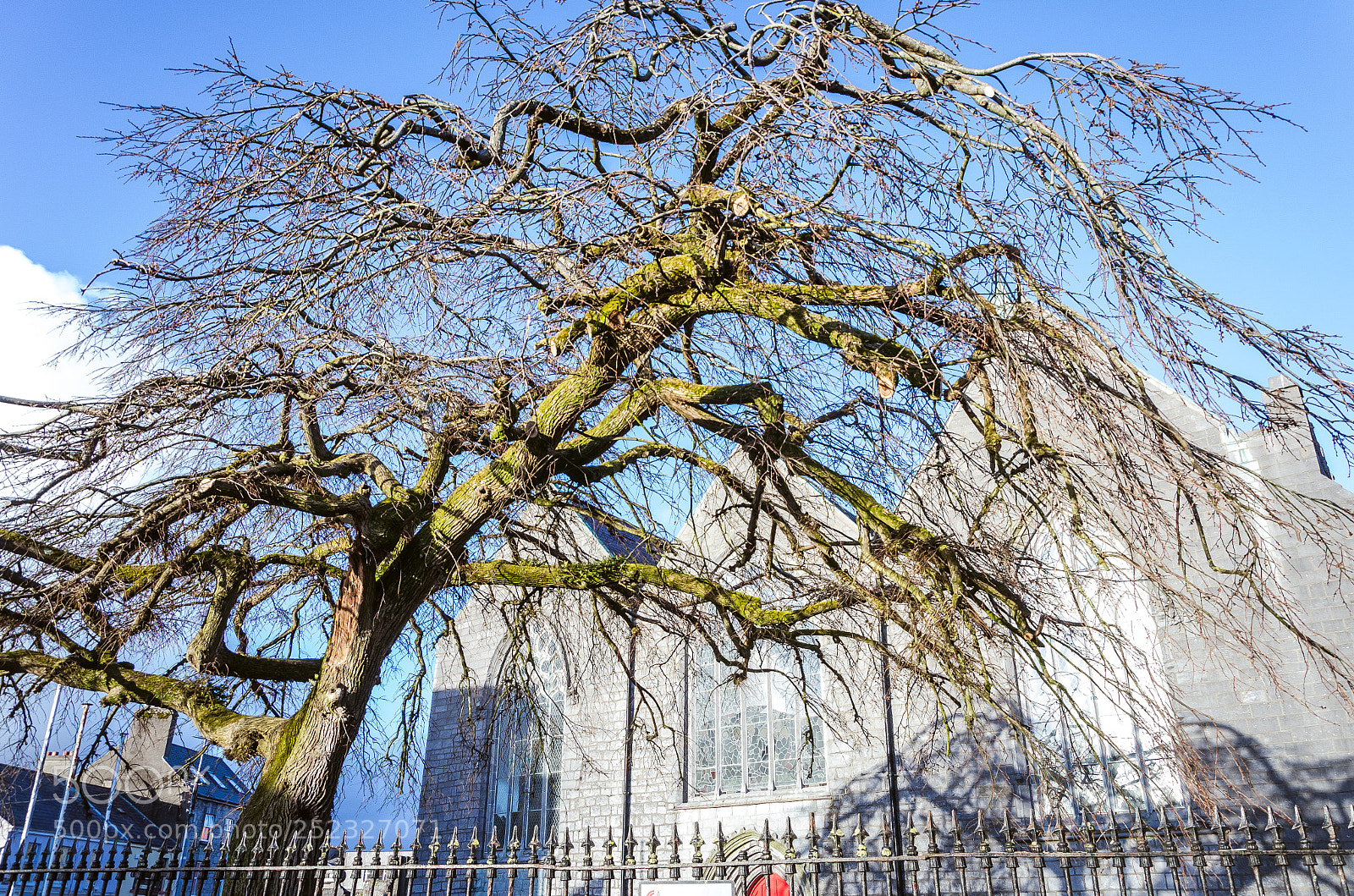 Nikon D5100 sample photo. Dublin-galway photography