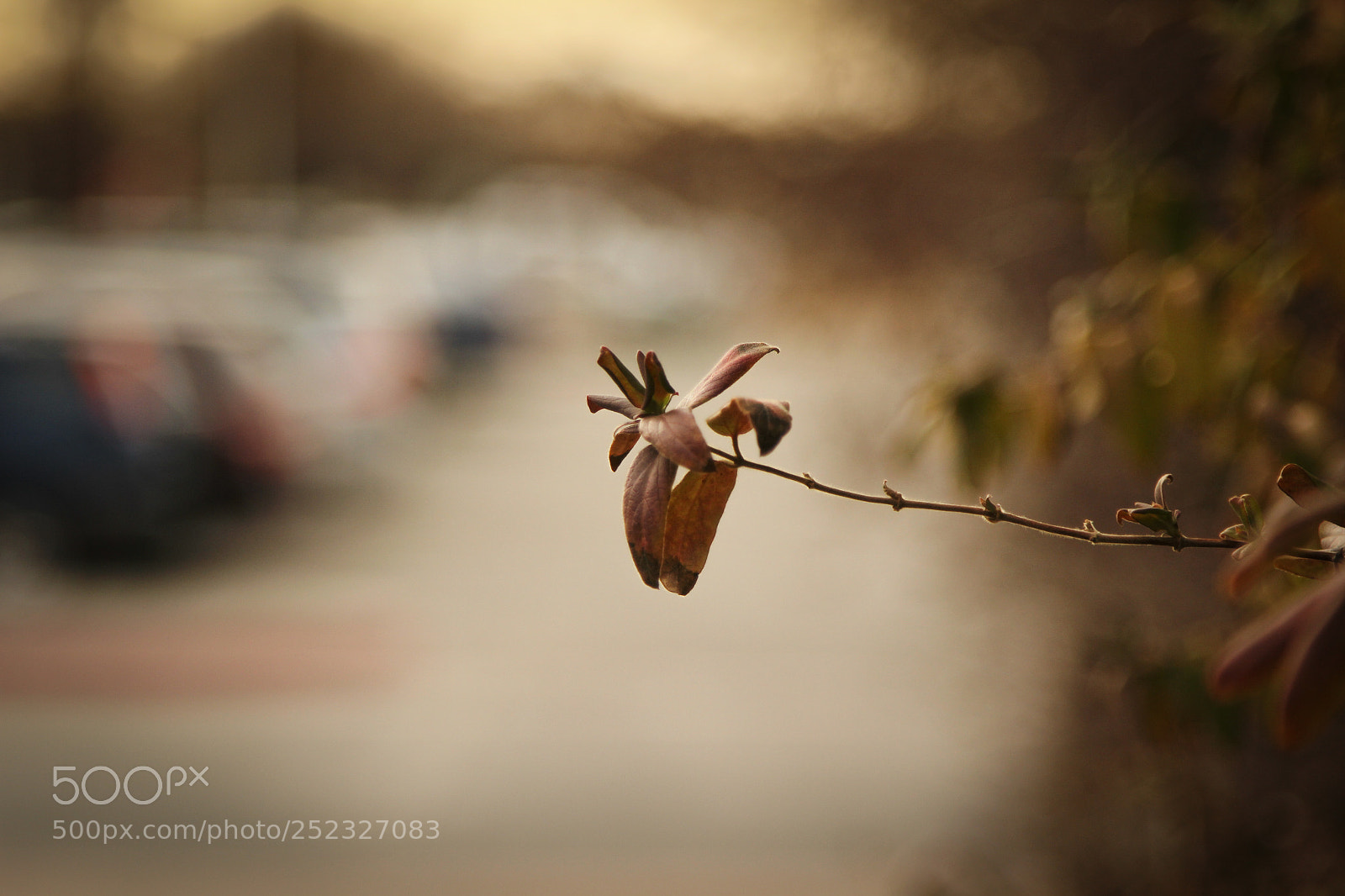 Canon EOS 60D sample photo. Lost photography