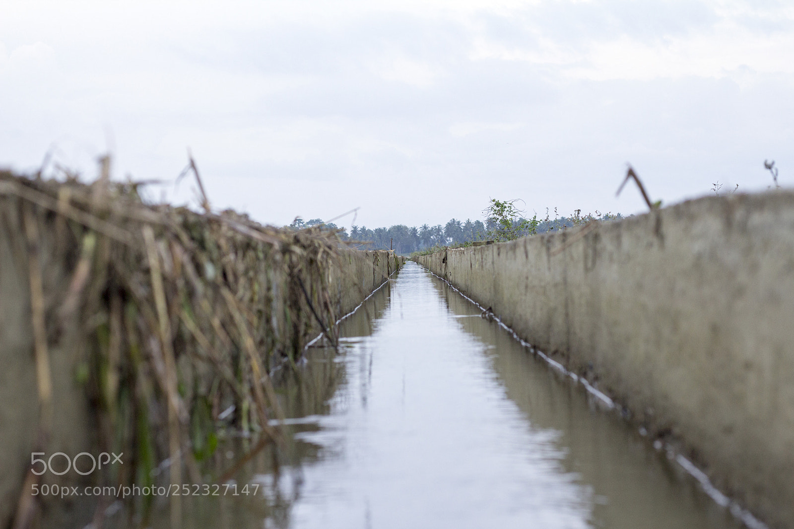 Canon EOS 60D sample photo. Water stream photography