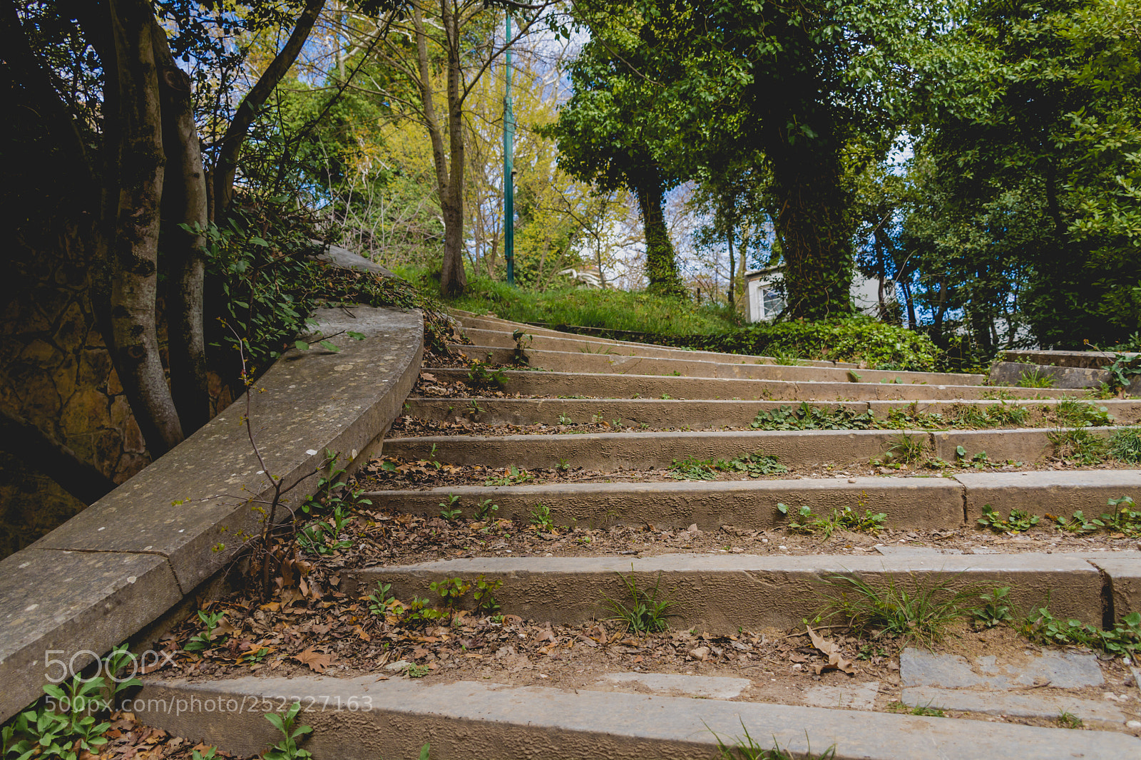 Nikon D7100 sample photo. Steps.. photography