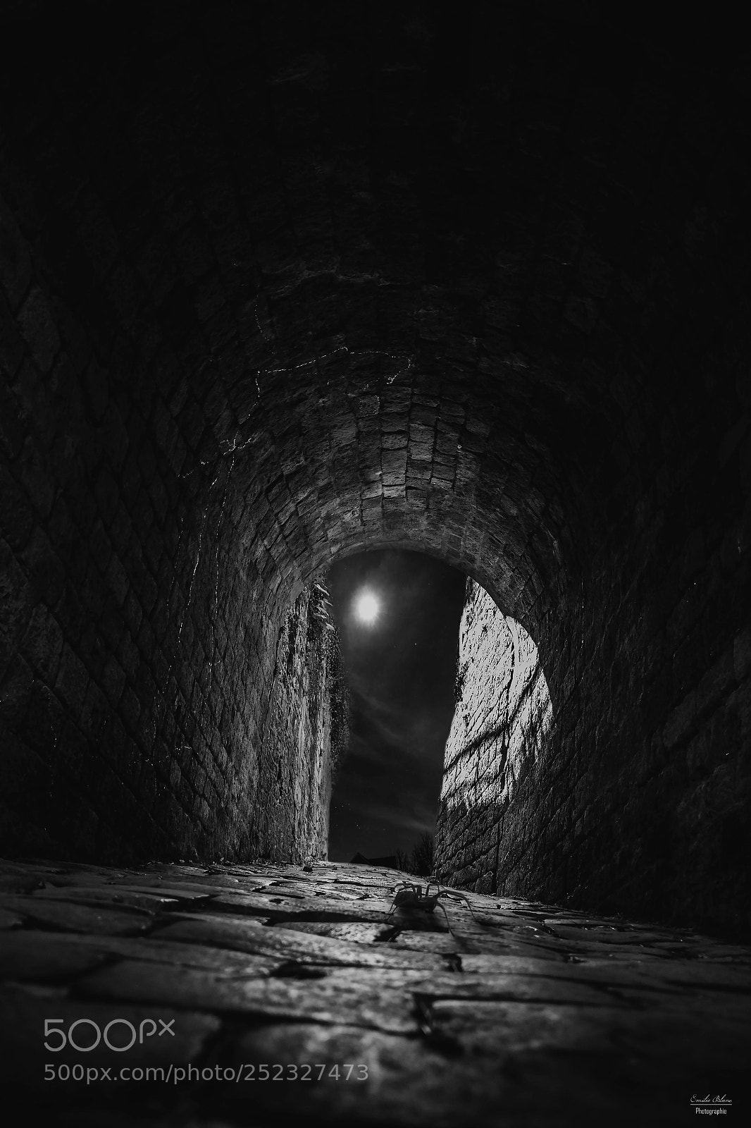 Canon EOS 60D sample photo. Obscurité photography