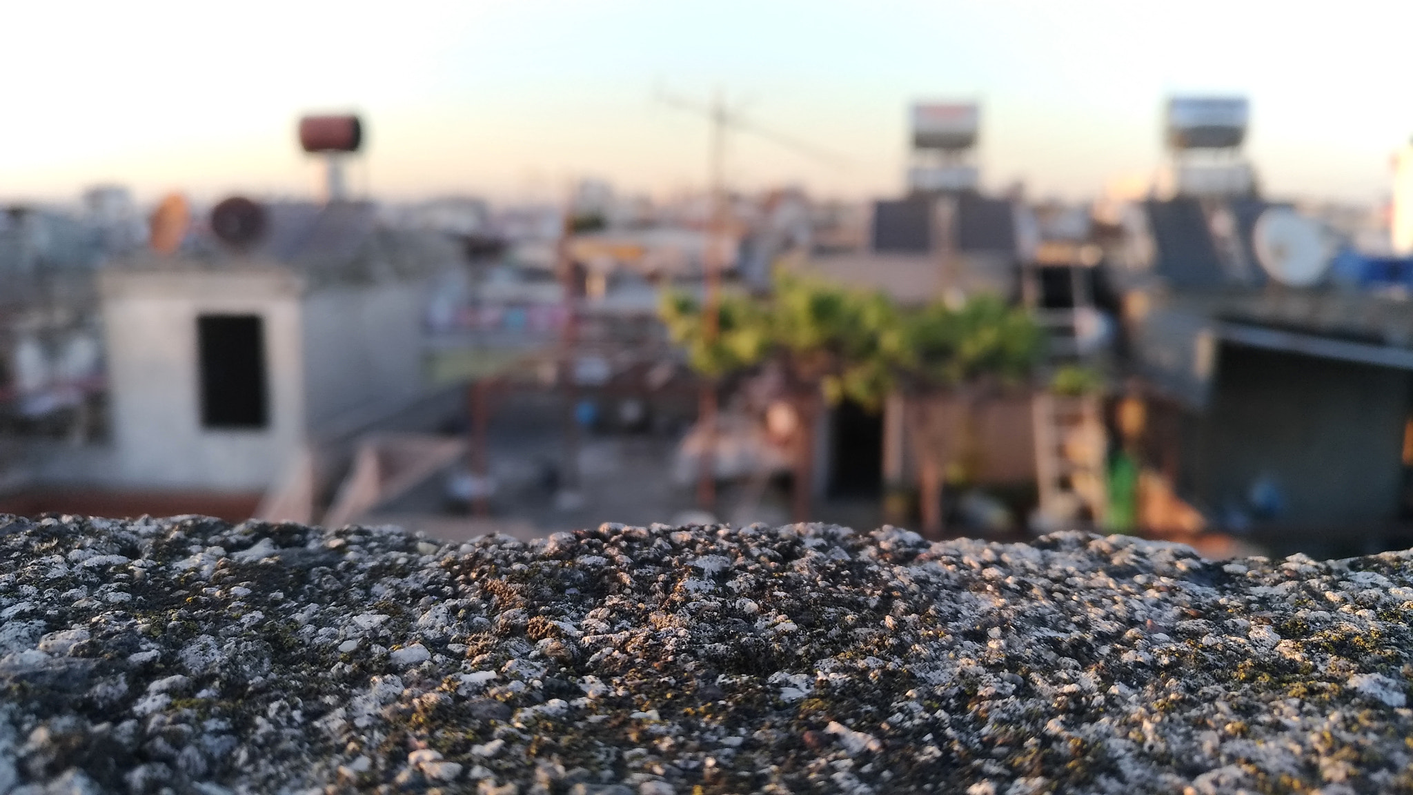 ASUS ZenFone 3 (ZE552KL) sample photo
