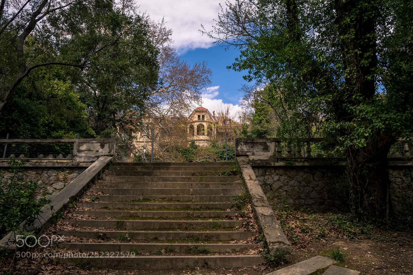 Nikon D7100 sample photo. Steps.. photography