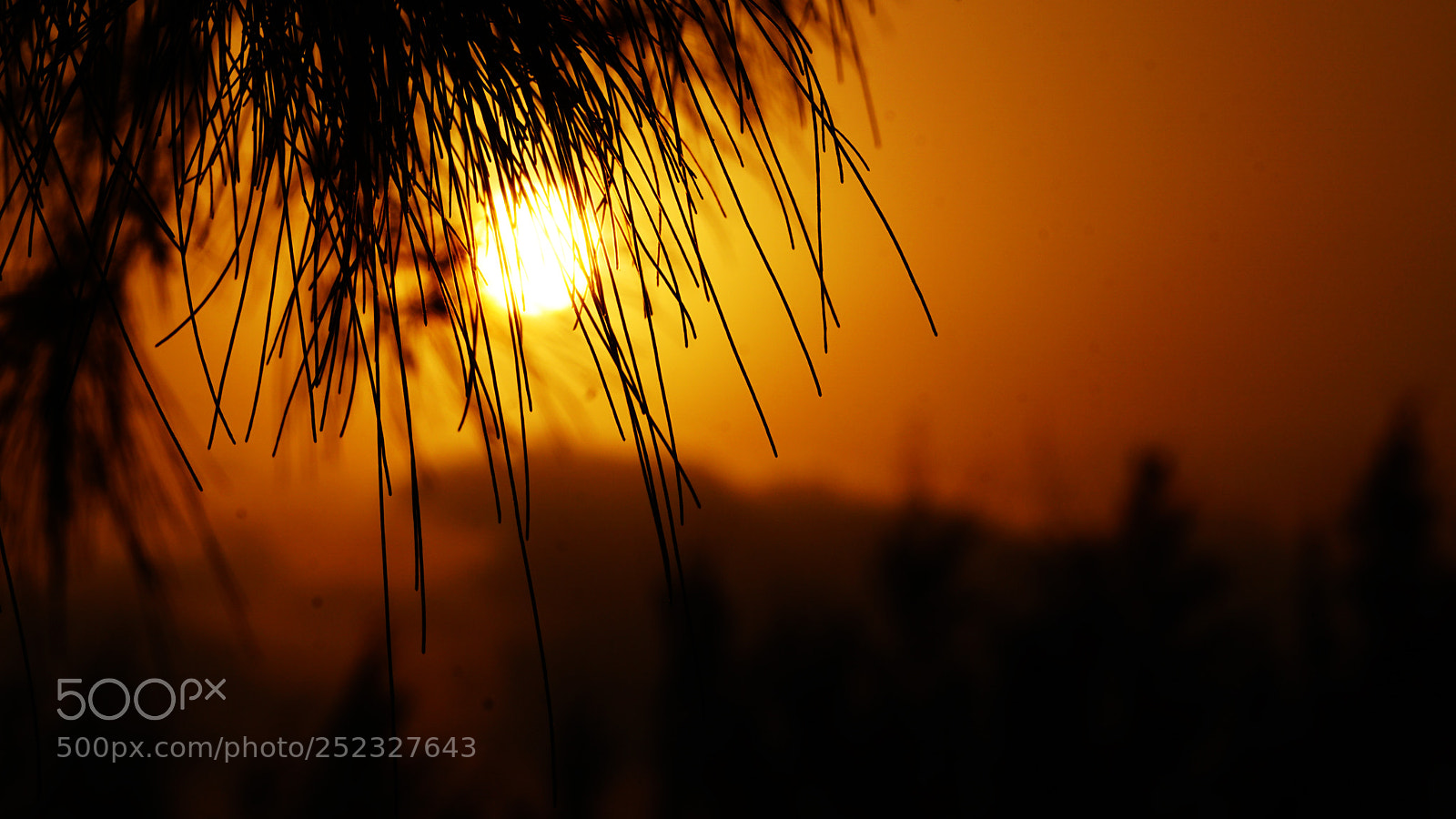 Sony a6000 sample photo. Peek a boo photography