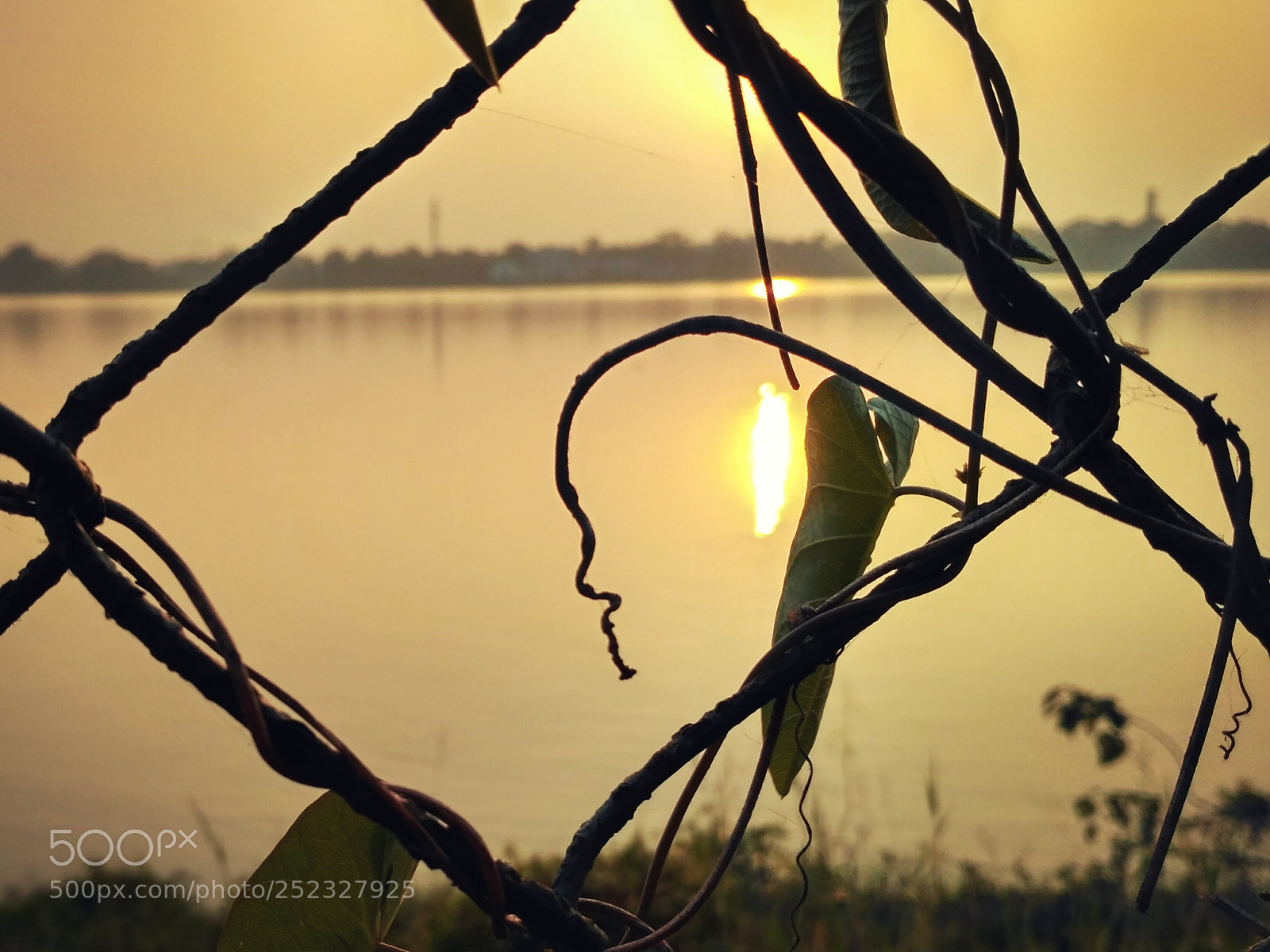 Xiaomi Redmi 3S sample photo. Untitled photography
