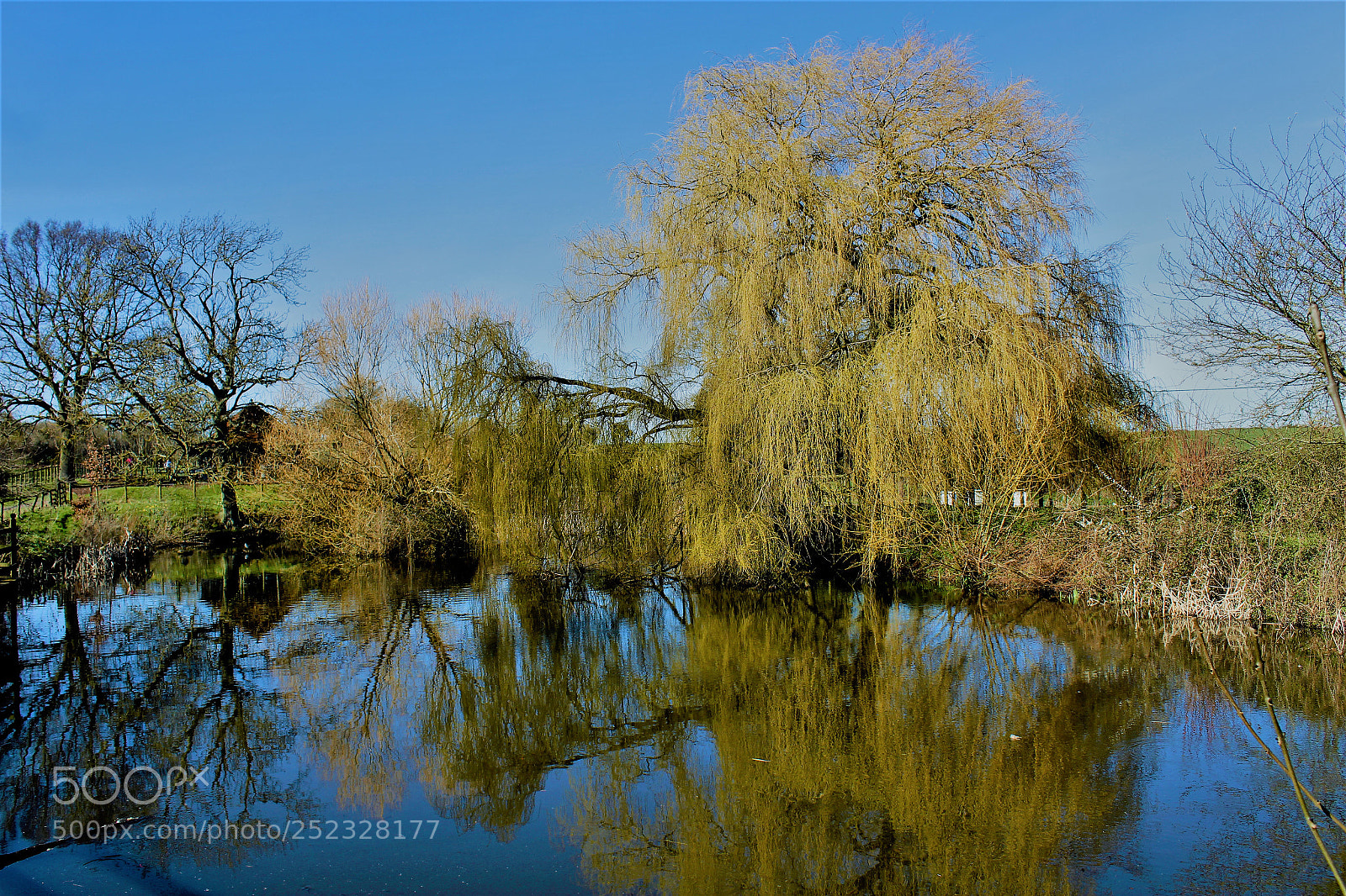 Canon EOS 1300D (EOS Rebel T6 / EOS Kiss X80) sample photo. Reflections. layer marney tower photography