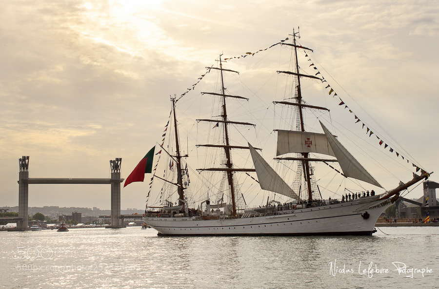 Canon EOS 60D sample photo. Nicolas lefebvre photographe photography