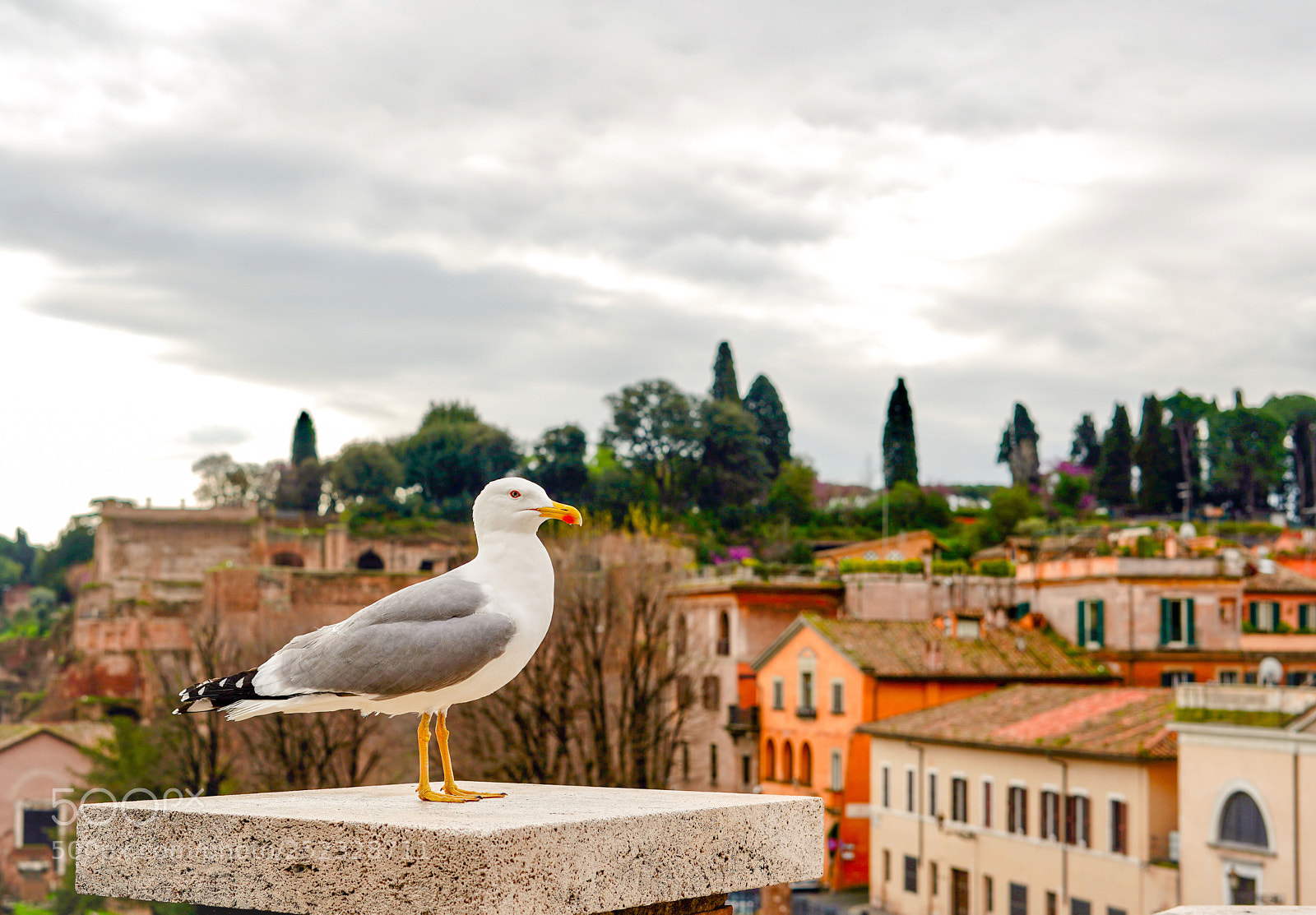 Sony a7R III sample photo. Roma photography