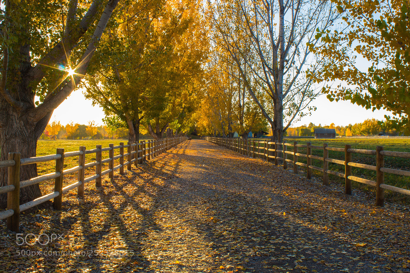 Canon EOS 700D (EOS Rebel T5i / EOS Kiss X7i) sample photo. Country lane in fall photography