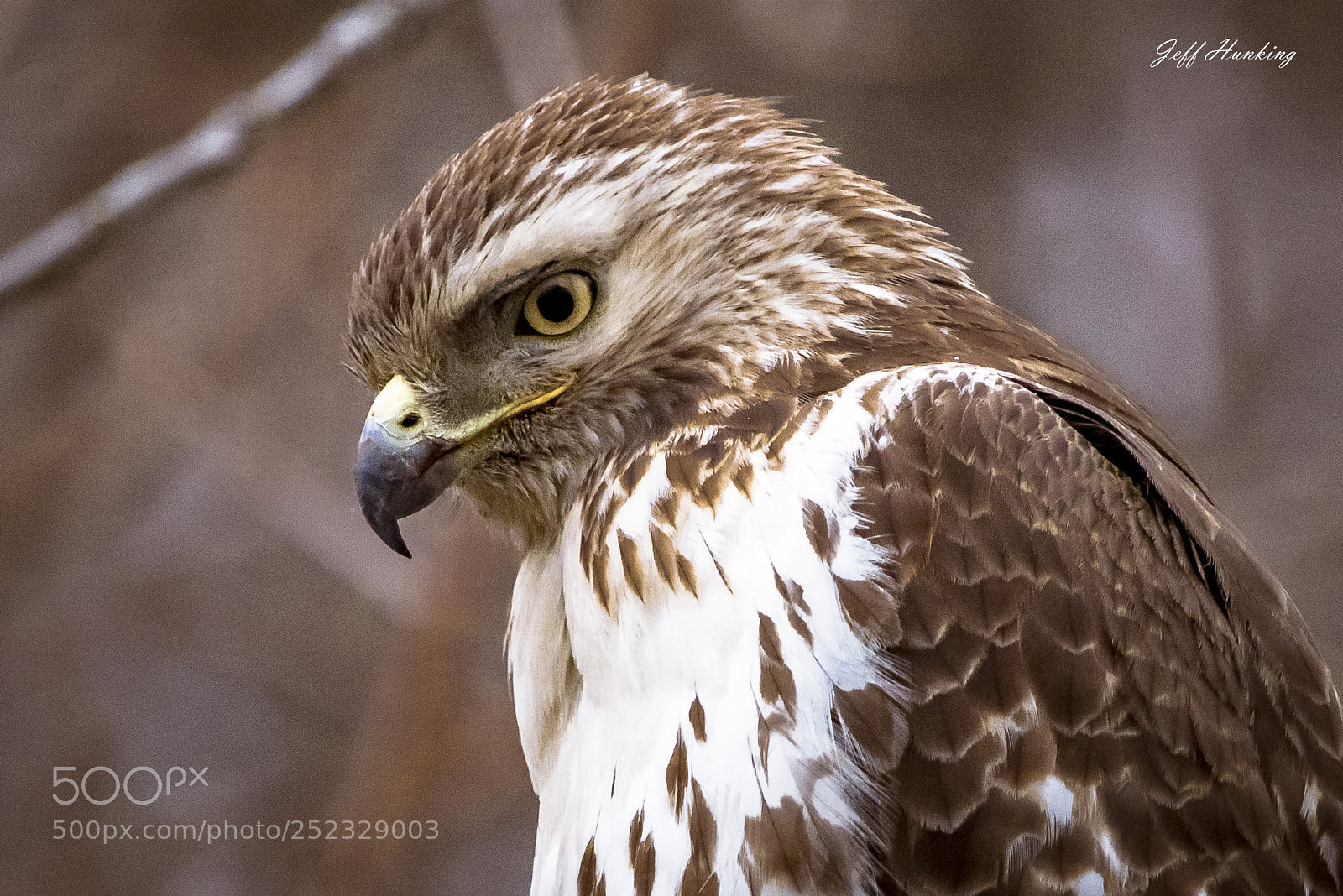Canon EOS 7D Mark II sample photo. Seeing eye to eye photography