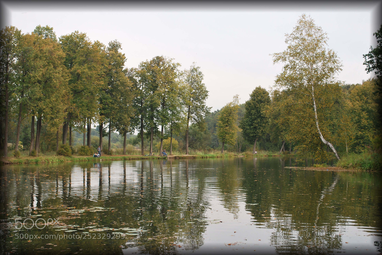 Nikon D60 sample photo. Ccead orig photography